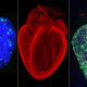 Illustration for article titled These Amazing Cardio Images Will Make Your Heart Race